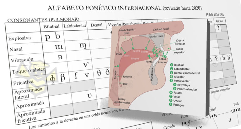 3 1 Alfabeto Fonético Internacional Afi En Español La Colmena