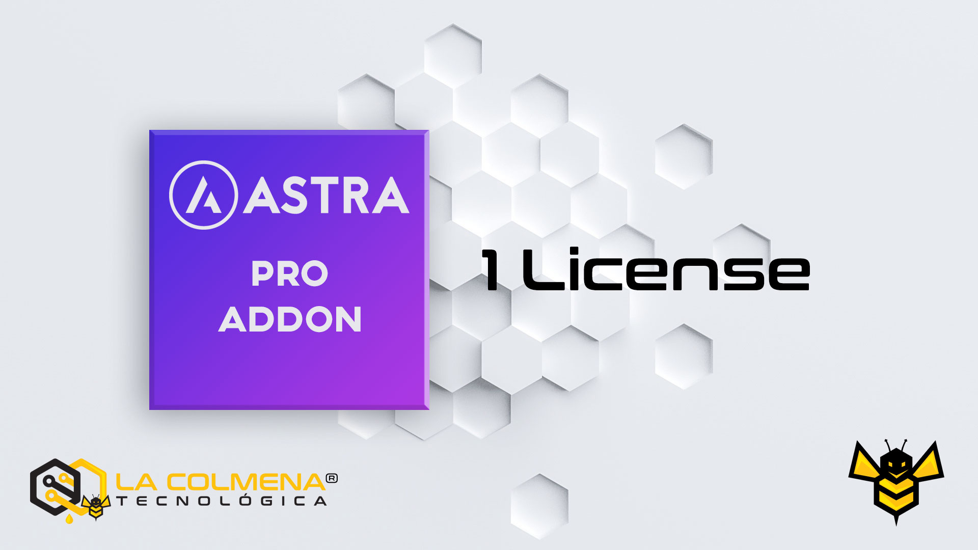 Astra Pro Addon License