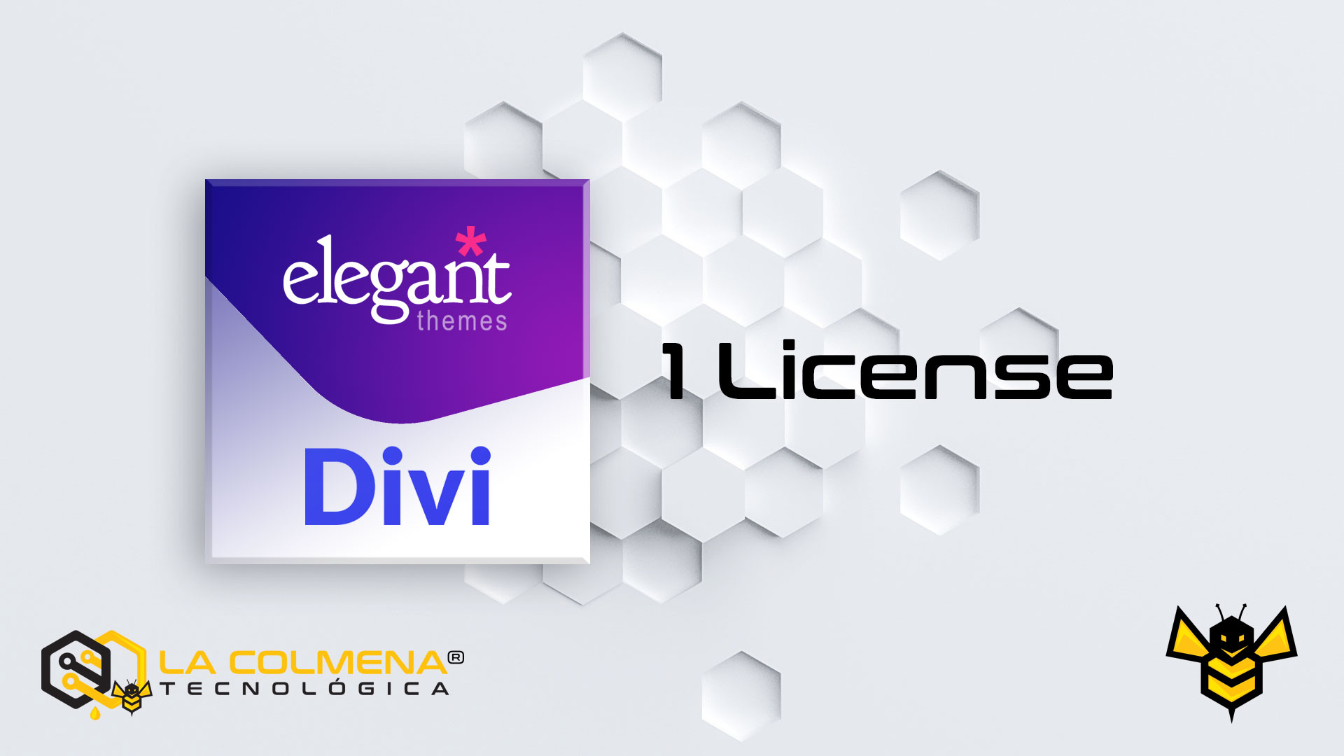 1 Divi License