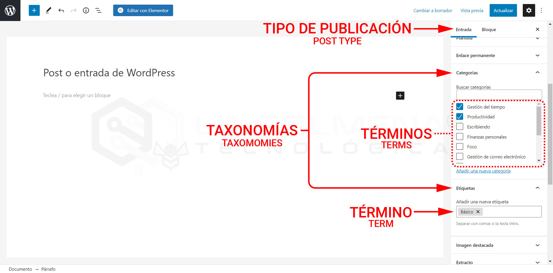 Taxonomías y términos (taxonomies and terms)