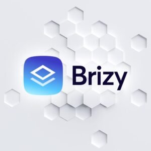 Logo de Brizy sobre fondo hexagonal blanco
