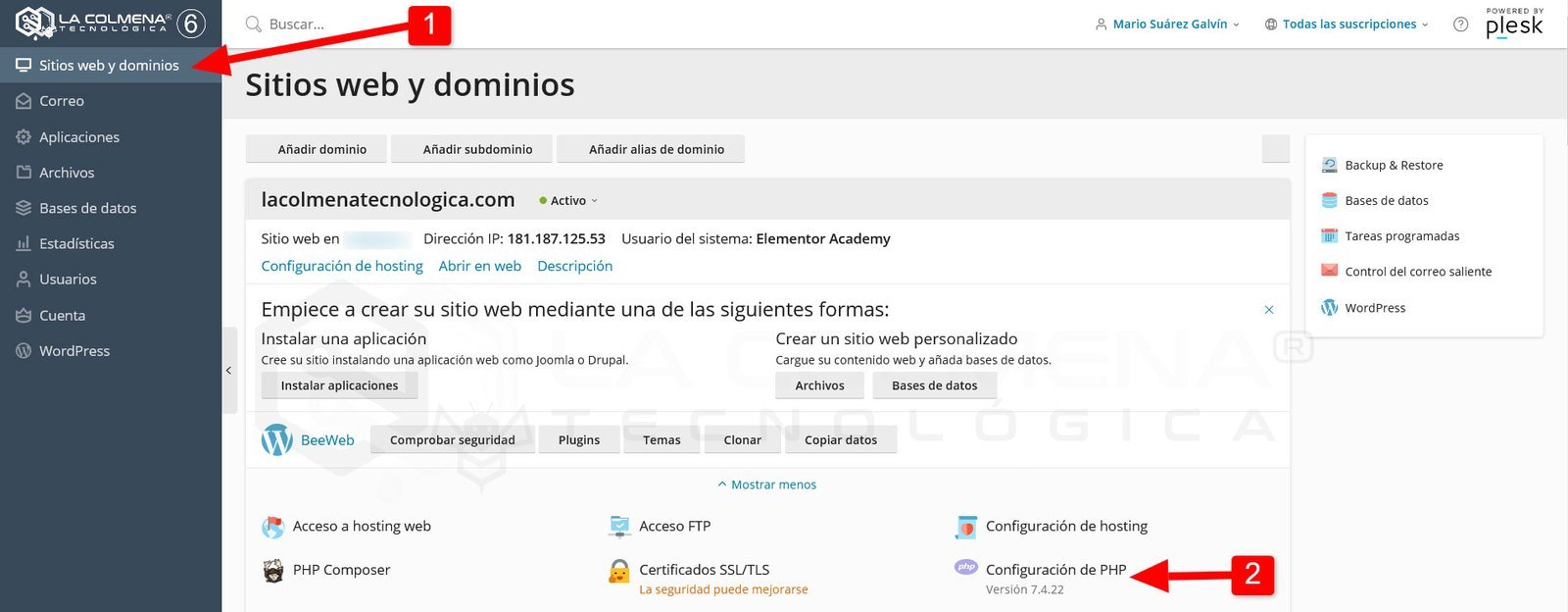 Plesk - Websites Domains