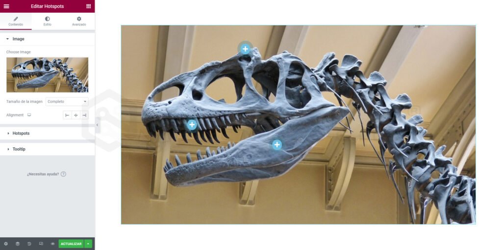 Esqueleto de dinosaurio en museo, vista lateral