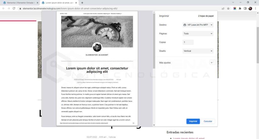 Vista previa de impresión de artículo en navegador