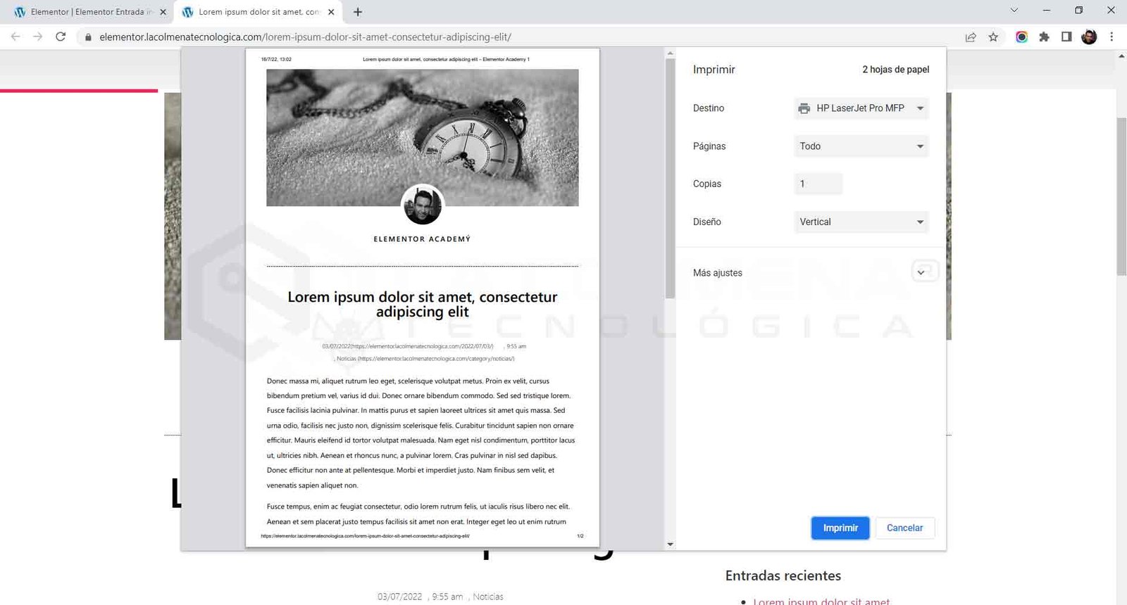 Druckvorschau eines Artikels im Browser