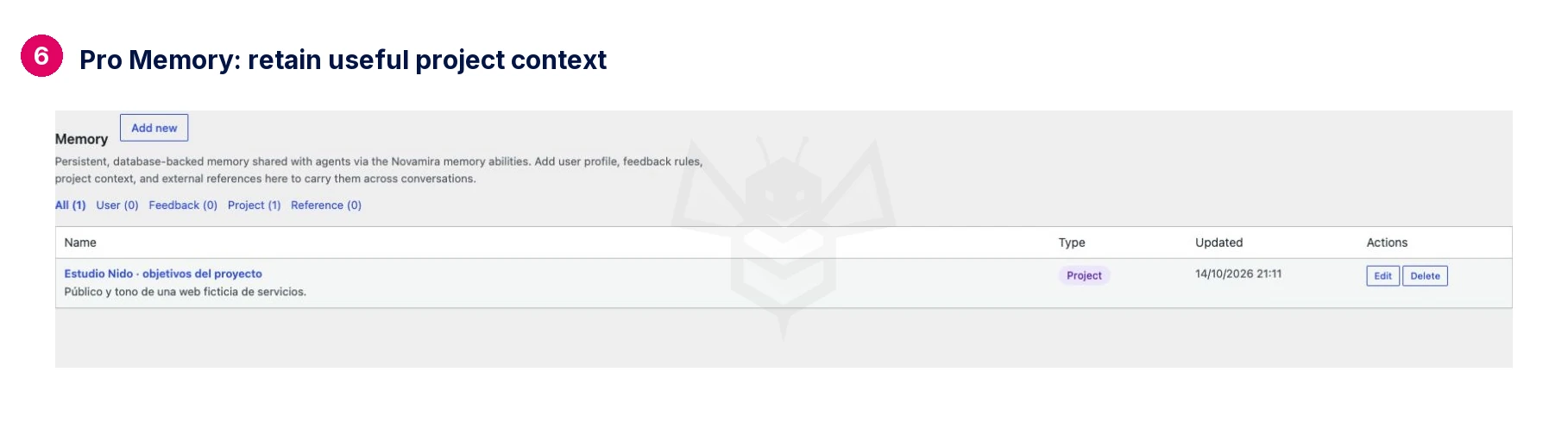 Pro Memory: retain useful project context · Novamira